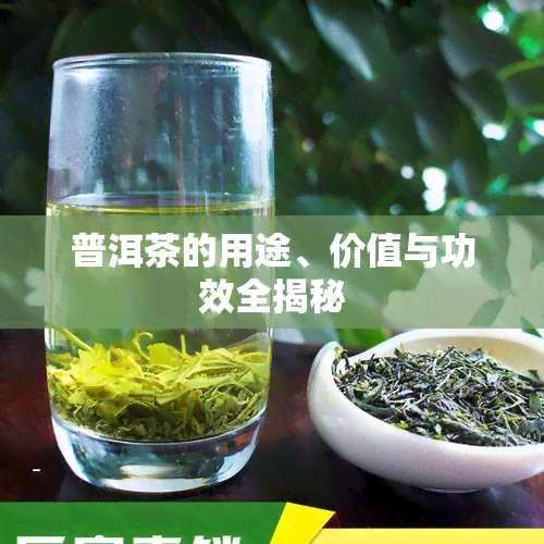 普洱茶的用途、价值与功效全揭秘