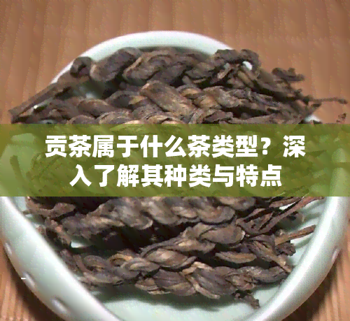 贡茶属于什么茶类型？深入了解其种类与特点