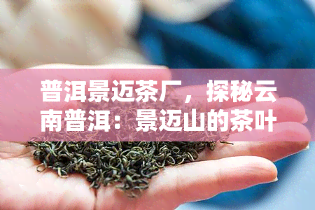 普洱景迈茶厂，探秘云南普洱：景迈山的茶叶制作工艺与历