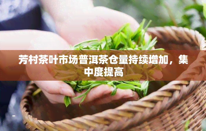 芳村茶叶市场普洱茶仓量持续增加，集中度提高