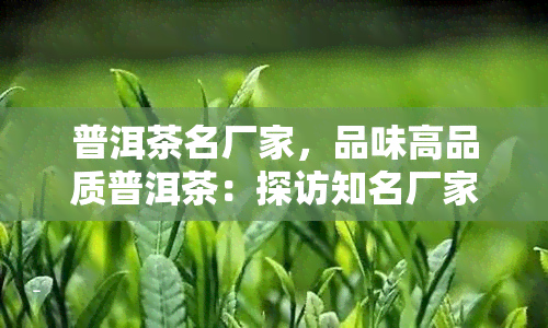 普洱茶名厂家，品味高品质普洱茶：探访知名厂家的制茶工艺与故事