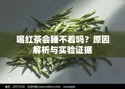 喝红茶会睡不着吗？原因解析与实验证据