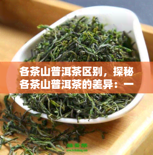 各茶山普洱茶区别，探秘各茶山普洱茶的差异：一场味蕾的旅行