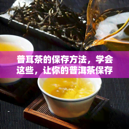 普耳茶的保存方法，学会这些，让你的普洱茶保存得更好！