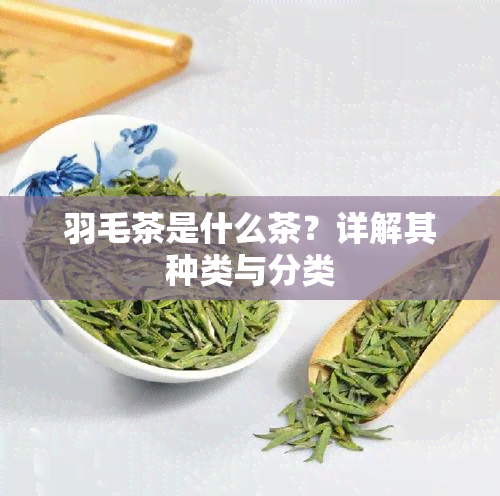 羽毛茶是什么茶？详解其种类与分类