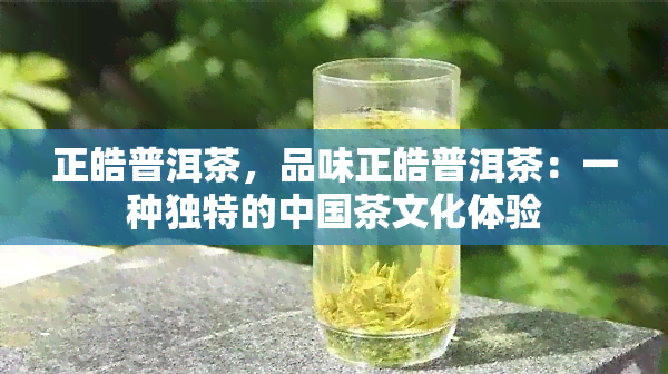 正皓普洱茶，品味正皓普洱茶：一种独特的中国茶文化体验