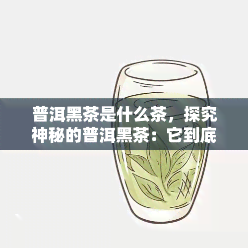 普洱黑茶是什么茶，探究神秘的普洱黑茶：它到底属于哪一类茶叶？