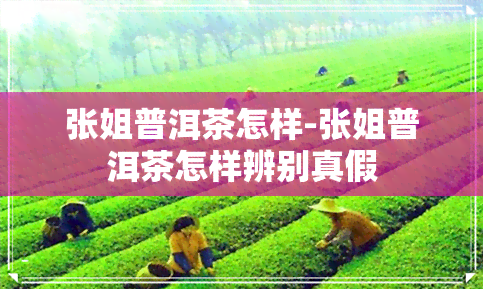 张姐普洱茶怎样-张姐普洱茶怎样辨别真假