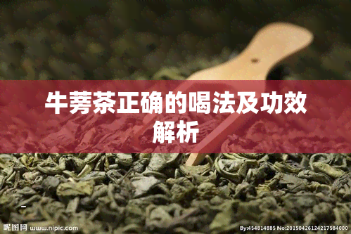 牛蒡茶正确的喝法及功效解析