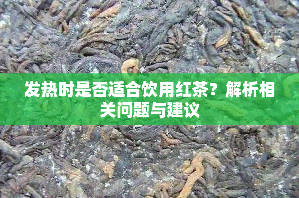 发热时是否适合饮用红茶？解析相关问题与建议