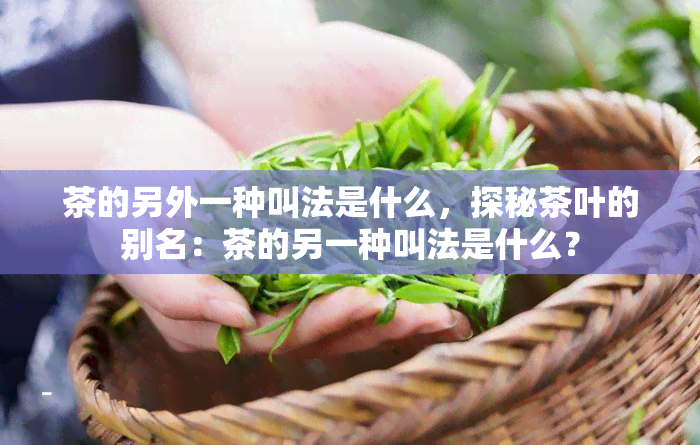 茶的另外一种叫法是什么，探秘茶叶的别名：茶的另一种叫法是什么？