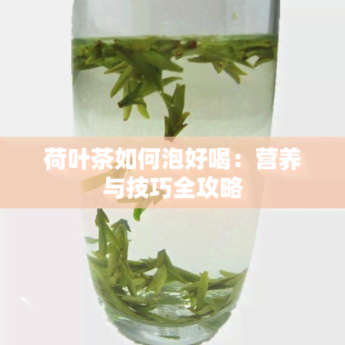 荷叶茶如何泡好喝：营养与技巧全攻略