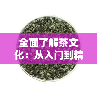 全面了解茶文化：从入门到精通的词汇全集