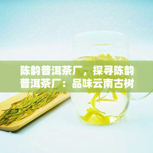 陈韵普洱茶厂，探寻陈韵普洱茶厂：品味云南古树茶的韵味与魅力