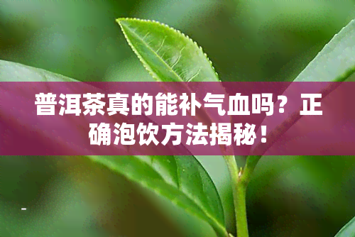 普洱茶真的能补气血吗？正确泡饮方法揭秘！