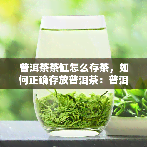 普洱茶茶缸怎么存茶，如何正确存放普洱茶：普洱茶茶缸的使用方法与技巧