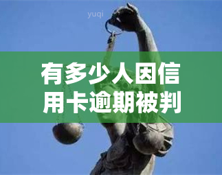 有多少人因信用卡逾期被判刑？涉及诉讼情况如何？