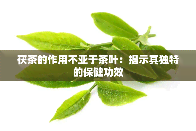 茯茶的作用不亚于茶叶：揭示其独特的保健功效