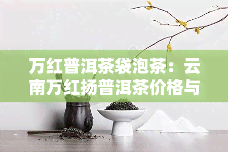 万红普洱茶袋泡茶：云南万红扬普洱茶价格与官网信息一览