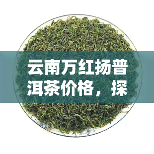 云南万红扬普洱茶价格，探究云南万红扬普洱茶的价格走势与品质特点