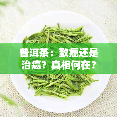 普洱茶：致癌还是治癌？真相何在？