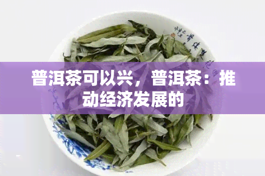 普洱茶可以兴，普洱茶：推动经济发展的