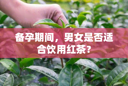 备孕期间，男女是否适合饮用红茶？