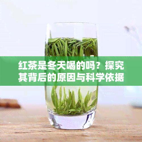 红茶是冬天喝的吗？探究其背后的原因与科学依据