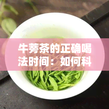 牛蒡茶的正确喝法时间：如何科学饮用及用量