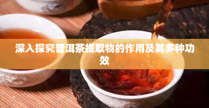 深入探究普洱茶提取物的作用及其多种功效