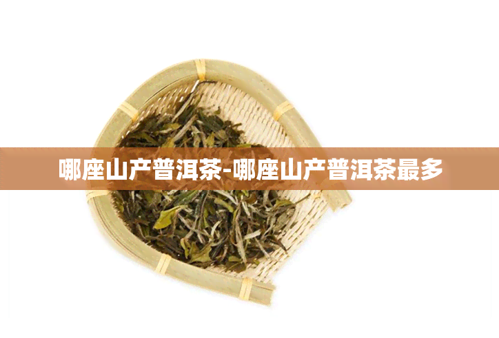 哪座山产普洱茶-哪座山产普洱茶最多