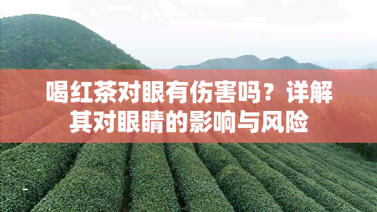 喝红茶对眼有伤害吗？详解其对眼睛的影响与风险