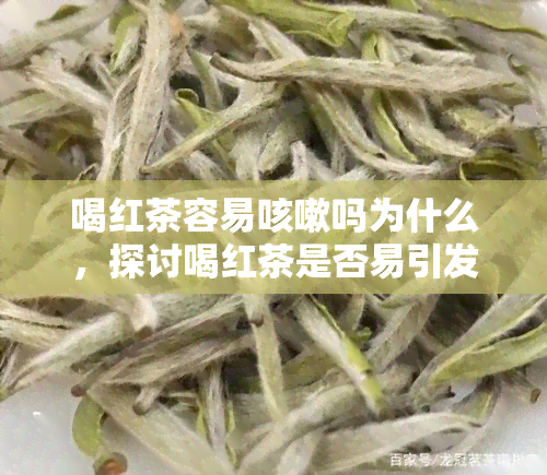 喝红茶容易咳嗽吗为什么，探讨喝红茶是否易引发咳嗽及其原因