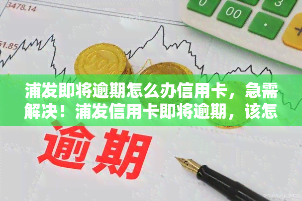 浦发即将逾期怎么办信用卡，急需解决！浦发信用卡即将逾期，该怎么办？