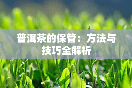 普洱茶的保管：方法与技巧全解析