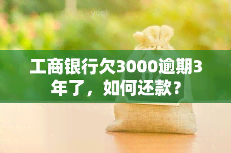 工商银行欠3000逾期3年了，如何还款？