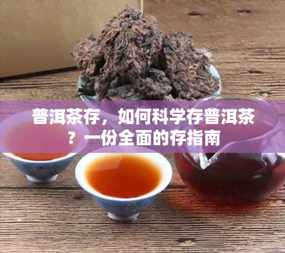 普洱茶存，如何科学存普洱茶？一份全面的存指南