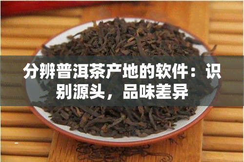 分辨普洱茶产地的软件：识别源头，品味差异