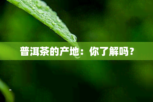 普洱茶的产地：你了解吗？