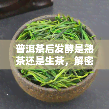 普洱茶后发酵是熟茶还是生茶，解密普洱茶：后发酵究竟是熟茶还是生茶？