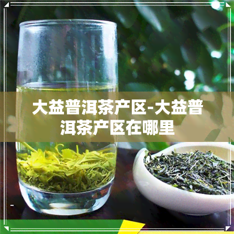 大益普洱茶产区-大益普洱茶产区在哪里