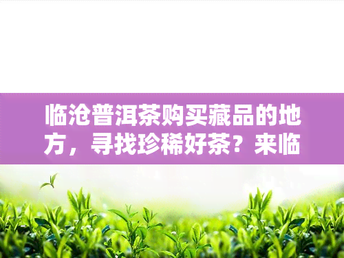 临沧普洱茶购买藏品的地方，寻找珍稀好茶？来临沧普洱茶购买藏品的地方！