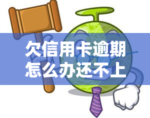 欠信用卡逾期怎么办还不上，信用卡逾期未还款？教你应对方法！