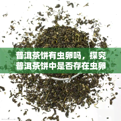 普洱茶饼有虫卵吗，探究普洱茶饼中是否存在虫卵问题