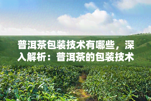 普洱茶包装技术有哪些，深入解析：普洱茶的包装技术及其重要性