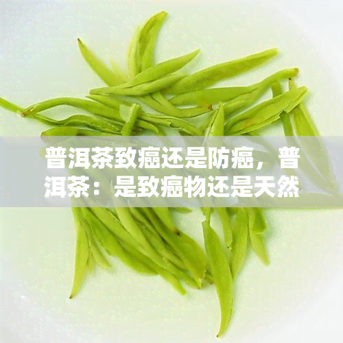 普洱茶致癌还是防癌，普洱茶：是致癌物还是天然抗癌良品？