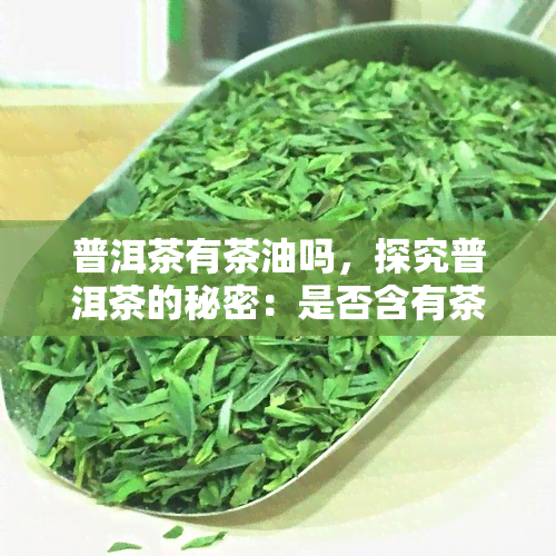 普洱茶有茶油吗，探究普洱茶的秘密：是否含有茶油？