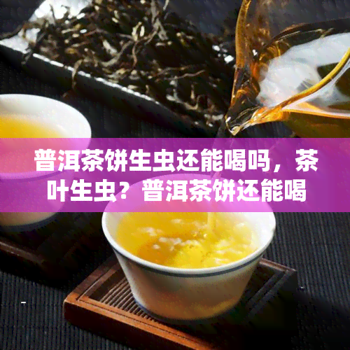 普洱茶饼生虫还能喝吗，茶叶生虫？普洱茶饼还能喝吗？