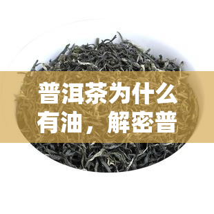 普洱茶为什么有油，解密普洱茶的油脂现象：为何它会有独特的油腻口感？