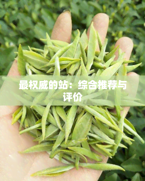 最权威的站：综合推荐与评价